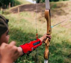 Image result for The Bowmen Of Lyme Archery Club
