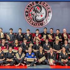 Image result for Elite Force Martial Arts Fort Lauderdale