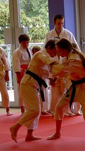 Image result for Tora-Kai Judo