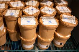 Image result for Slough Bowls Club