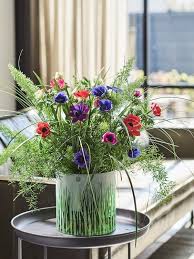 Image result for Anemonenarten