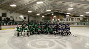 Image result for Halifax Roller Hockey Club