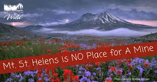 Image result for St Helens Miners