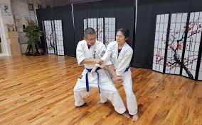 Image result for United Sport Karate