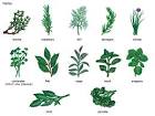 http://mikemichalowicz.com/wp-content/uploads/2012/04/herbs_comp.jpg