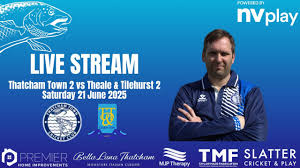 Image result for Theale and Tilehurst Cricket Club