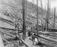 Great Fire of 1910 - Wikipedia, the free encyclopedia