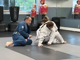 Image result for Weston Academy Of Martial Arts