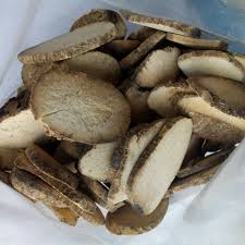 Attēlu rezultāti vaicājumam “Alisma plantago-aquatica fruit”