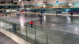 Image result for Guildford Ice Dance Club