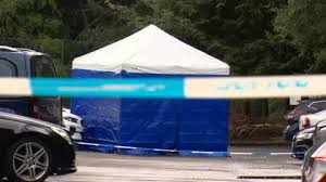 Image result for East Kilbride Sports Club