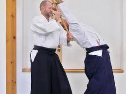 Image result for Fudokai Aikido Dojo