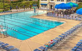 Image result for Ledbury & District Amateur Swimming Club