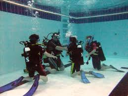 Image result for Harbour Lights Snorkelling Club (HLSC)