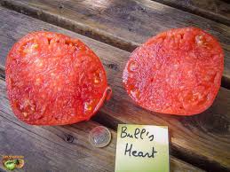 Afbeeldingsresultaat voor butter and bull heart tomato