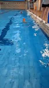 Image result for Hitchin Swimming Club