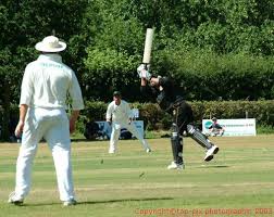 Image result for Ifield Cricket Club
