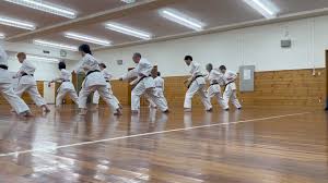 Image result for Loughton Wado-Kai Karate Club