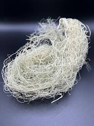 Attēlu rezultāti vaicājumam “Usnea hirta”