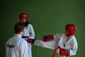 Image result for Bytomic Tae Kwon Do Beaconsfield