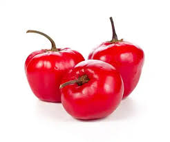 Afbeeldingsresultaat voor red rocoto hot pepper