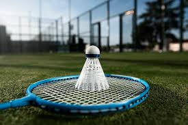 Image result for Shuttlecocks Badminton Club