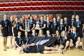 Image result for Dublin Underwater Hockey Team