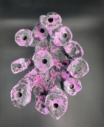 Image result for Peninsula Sub Aqua