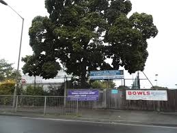 Image result for Buckhurst Hill Bowling Club