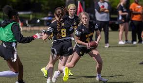 Image result for St Theresas Badminton Club