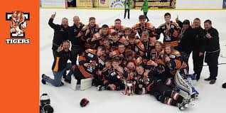Image result for Telford Junior Ice Hockey Club