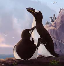 Image result for Pinguinus impennis