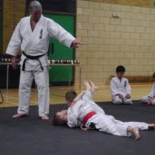 Image result for Seiki Juku Karate Club
