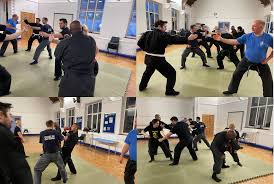 Image result for Peter Kings Dojo