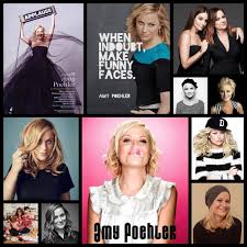 Image result for Bugaboo Cameleon Amy Poehler