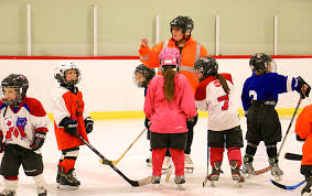 Image result for Pontypool Skater Hockey Club