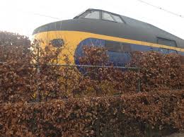 Image result for koploper