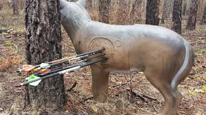 Image result for Maidenhead Archers Target Archery Club