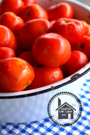 Afbeeldingsresultaat voor cabin tomato