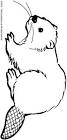 Beaver coloring page