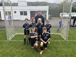 Image result for World of Shinty