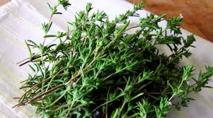 Image result for Bohnenkraut