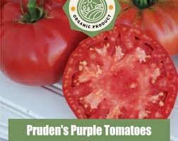 Afbeeldingsresultaat voor marizol purple tomato
