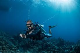 Image result for Divemaster Scuba