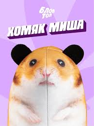 Image result for хомяк