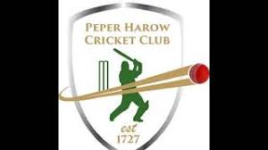 Image result for Peper Harow Cricket Club