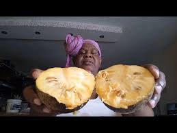 Attēlu rezultāti vaicājumam “Libanotis montana fruit”