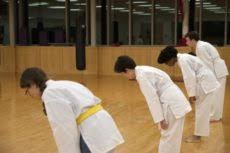 Image result for Ifield Shotokan Karate Club