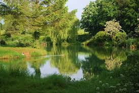 Image result for Bollington & Royal Oak Angling Society