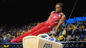 Image result for Arun Gymnastics Club